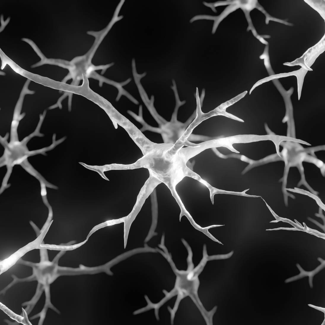 Neurons